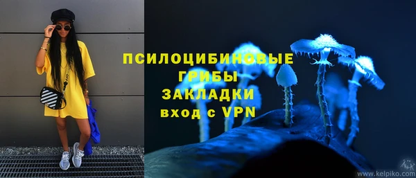 прущий лед Богданович