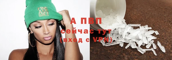 прущий лед Богданович