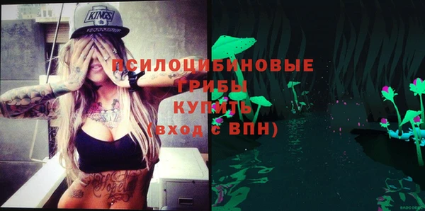 ГАЛЛЮЦИНОГЕННЫЕ ГРИБЫ Бугульма