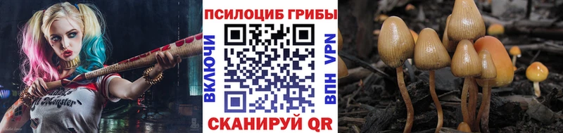 Псилоцибиновые грибы Cubensis  Купить закладки  Борисоглебск 